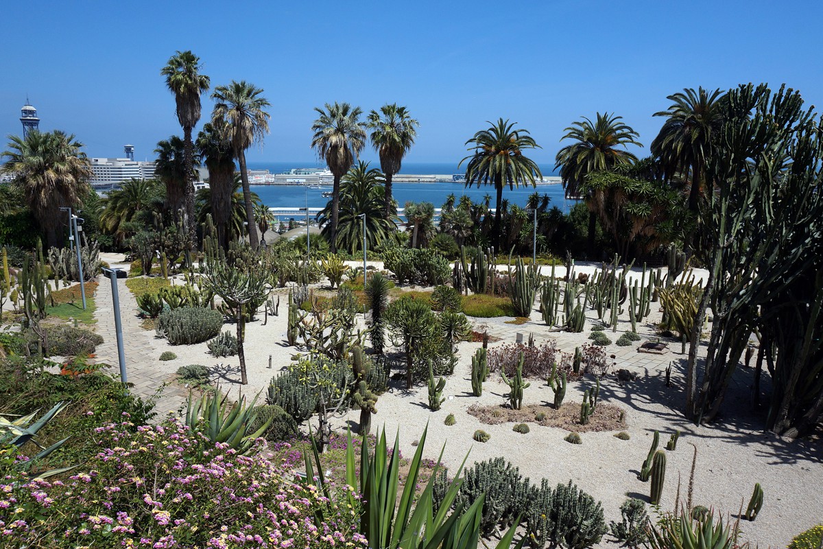 Flors de colors vius